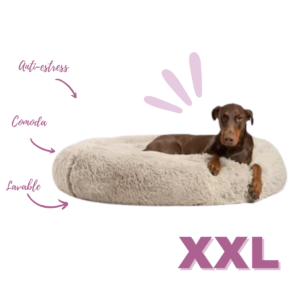 Camas para perro y gato Anti-estres | XXl | 120 * 120 cm + Marcación de Nombre